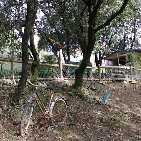 Vila Le Domaine Du Naizadou Chalet Lou Grilh La Barriére Exteriér fotografie