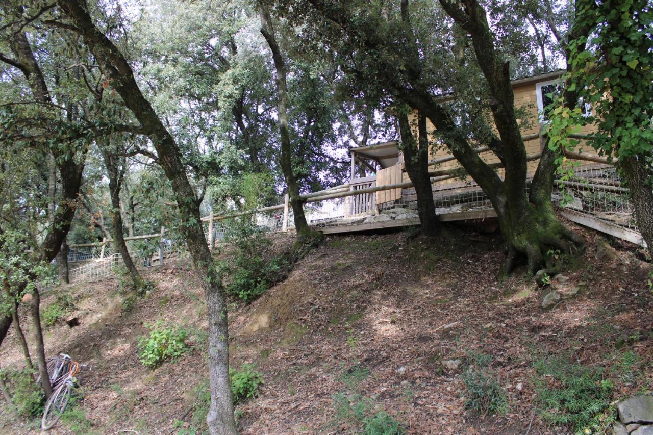 Vila Le Domaine Du Naizadou Chalet Lou Grilh La Barriére Exteriér fotografie