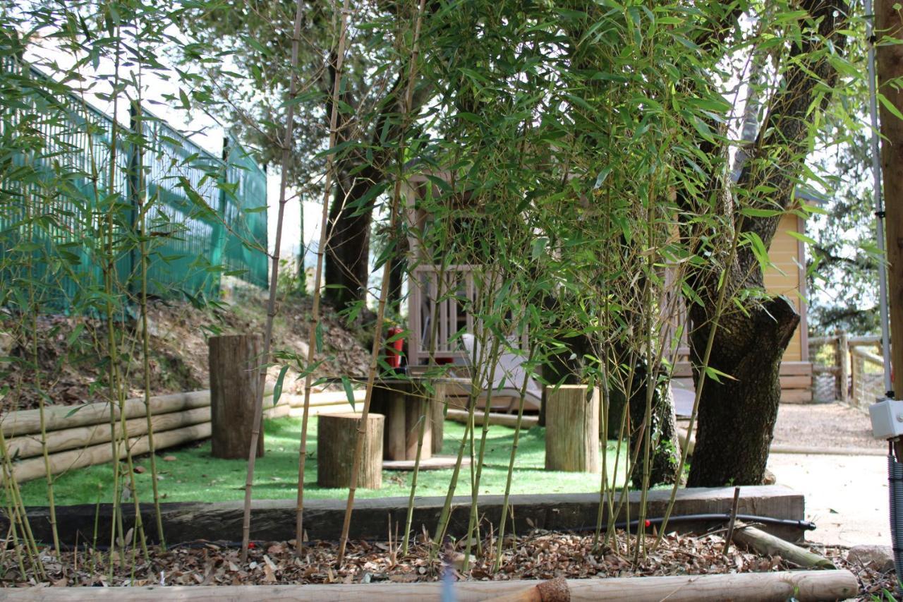Vila Le Domaine Du Naizadou Chalet Lou Grilh La Barriére Exteriér fotografie